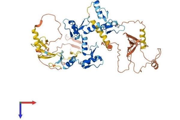ZNF76 Protein (AA 1-570) (His tag)
