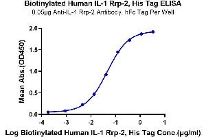ELISA image for Interleukin 1 Receptor-Like 2 (IL1RL2) (AA 20-335) protein (His-Avi Tag,Biotin) (ABIN7274903)