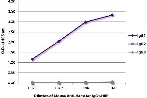 ELISA plate was coated with purified hamster IgG1, IgG2, and IgG3. (Maus anti-Hamster IgG1 Antikörper (HRP))