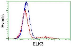 Image no. 3 for anti-ELK3, ETS-Domain Protein (SRF Accessory Protein 2) (ELK3) antibody (ABIN1498005) (ELK3 Antikörper)