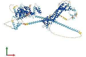 Protein Structure (PS) image for Dishevelled Associated Activator of Morphogenesis 1 (DAAM1) (AA 1-1078) protein (His tag) (ABIN7553620)