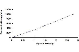 Typical standard curve