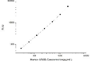 Typical standard curve (Arylsulfatase B CLIA Kit)