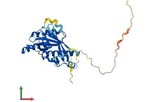 Protein Structure (PS) image for RAB36, Member RAS Oncogene Family (RAB36) (AA 1-267) protein (His tag) (ABIN7559218)