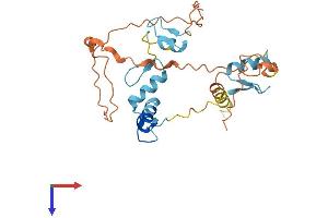 OVOL1 Protein (AA 1-267) (His tag)