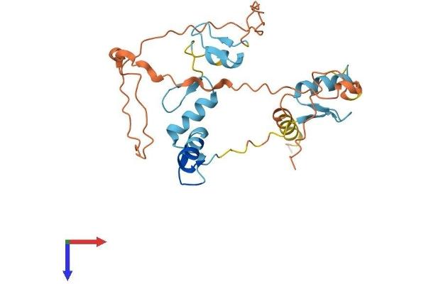 OVOL1 Protein (AA 1-267) (His tag)