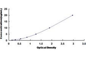 Typical standard curve (HMGA1 ELISA Kit)