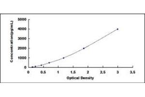 Typical standard curve (VEGFR2/CD309 ELISA Kit)