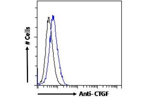 ABIN6391344 Flow cytometric analysis of paraformaldehyde fixed HepG2 cells (blue line), permeabilized with 0. (CTGF Antikörper  (Internal Region))