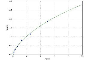 Regulator of G-Protein Signaling 10 (RGS10) ELISA Kit