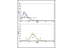 Flow Cytometry (FACS) image for anti-Matrix Metallopeptidase 3 (Stromelysin 1, Progelatinase) (MMP3) (AA 298-327) antibody (ABIN390151)