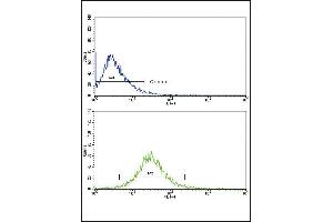 Flow cytometric analysis of HepG2 cells using P3 Antibody (Center)(bottom histogram) compared to a negative control cell (top histogram). (MMP3 Antikörper  (AA 298-327))