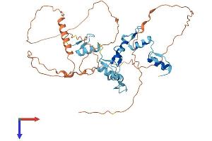 GFI1 Protein (AA 1-423) (His tag)
