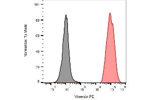 Intracellular flow cytometry analysis of vimentin expression in ESS-1 cells using anti-human vimentin (VI-RE/1) APC. (Vimentin Antikörper  (APC))