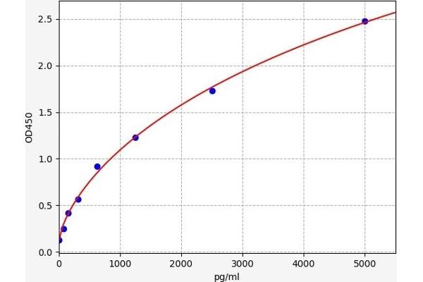 FLT3 ELISA Kit