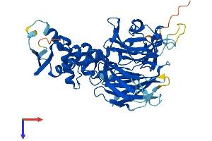 KBTBD13 Protein (AA 1-458) (His tag)