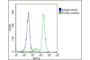 Overlay histogram showing K562 cells stained with (ABIN6242341 and ABIN6578820)(green line). (FADS2 Antikörper)