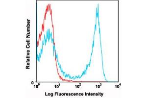 Flow cytometric analysis of C57Bl/6 mouse bone marrow cells using Ly6g monoclonal antibody, clone RB6-8C5 (PE/Cy7)  compared to a relevant isotype control in red. (Ly6g Antikörper  (PE,Cy7))