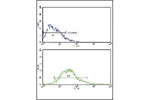 Flow cytometric analysis of MCF-7 cells using FGFR1 Antibody (N-term) (bottom histogram) compared to a negative control cell (top histogram). (FGFR1 Antikörper  (N-Term))