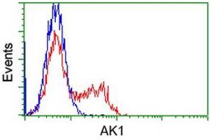 Flow Cytometry (FACS) image for anti-Adenylate Kinase 1 (AK1) antibody (ABIN1496517) (Adenylate Kinase 1 Antikörper)