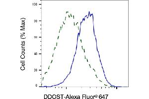 Validation of DDOST knockdown using flow cytometry. (DDOST Antikörper)