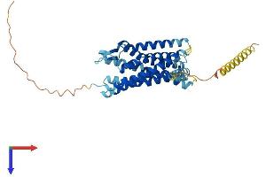 CCBP2 Protein (AA 1-378) (His tag)