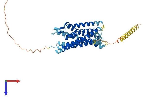 CCBP2 Protein (AA 1-378) (His tag)
