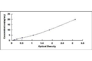 Typical standard curve (FUT8 ELISA Kit)