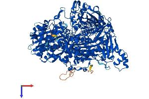 AOX1 Protein (AA 1-1338) (His tag)