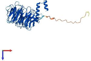 ERCC8 Protein (AA 1-397) (His tag)