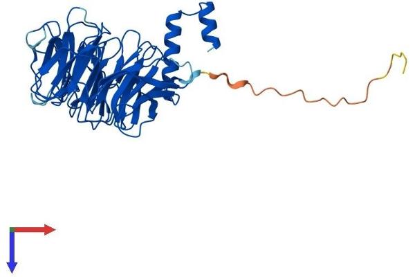 ERCC8 Protein (AA 1-397) (His tag)