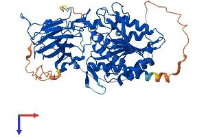 AGBL4 Protein (AA 1-540) (His tag)