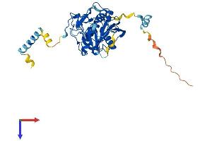 B4GALT3 Protein (AA 1-393) (His tag)