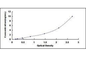 Pregnancy Specific beta 1 Glycoprotein 2 (PSG2) ELISA Kit
