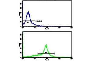 Flow cytometric analysis of WiDr cells using MMP15 polyclonal antibody (bottom histogram) compared to a negative control cell (top histogram). (MMP15 Antikörper  (N-Term))