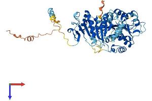 DDX28 Protein (AA 1-540) (His tag)