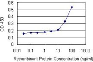 Detection limit for recombinant GST tagged C20orf79 is 3 ng/ml as a capture antibody. (SCP2D1 Antikörper  (AA 1-156))