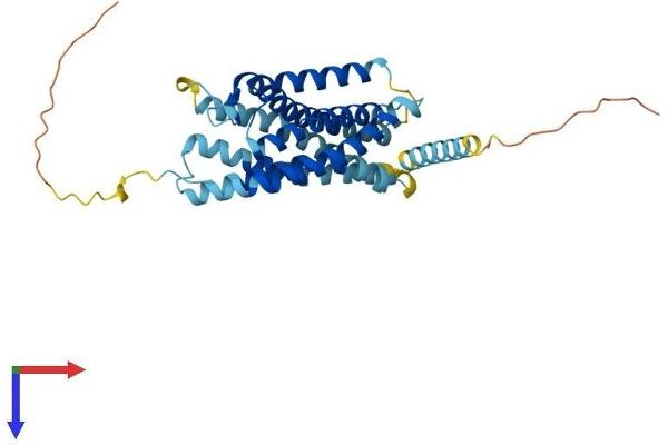 CCRL1 Protein (AA 1-350) (His tag)