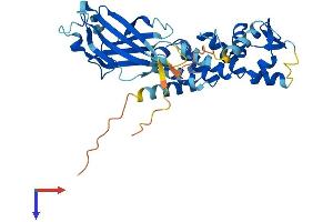 AlphaFold protein structure predicition of Mouse Recombinant Gm9125 Protein, UniprotID P0DMR6