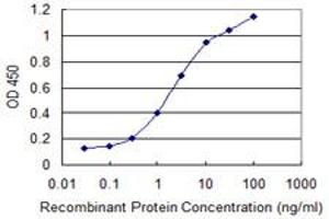 Detection limit for recombinant GST tagged TFEC is 0. (TFEC Antikörper  (AA 1-89))