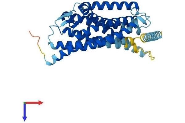 SUCNR1 Protein (AA 1-334) (His tag)