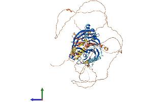 Protein Structure (PS) image for DDB1 and CUL4 Associated Factor 6 (DCAF6) (AA 1-876) protein (His tag) (ABIN7565014)