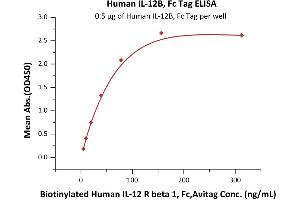 ELISA image for Interleukin 12 beta (IL12B) (AA 23-328) protein (Fc Tag) (ABIN2181332)