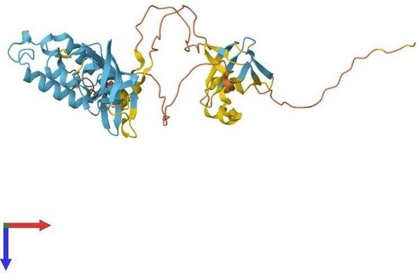 NOXO1 Protein (AA 1-376) (His tag)