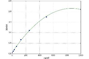 A typical standard curve (IFNB1 ELISA Kit)