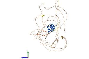 Protein Structure (PS) image for E74 like ETS transcription factor 4 (Elf4) (AA 1-655) protein (His tag) (ABIN7565301)