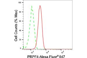 Flow cytometric analysis of PRPF4 expression in HT- cells using PRPF4 antibody (ABIN7800057), 1:2,000). (Rekombinanter PRPF4 Antikörper)