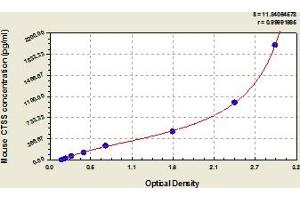 Cathepsin S ELISA Kit