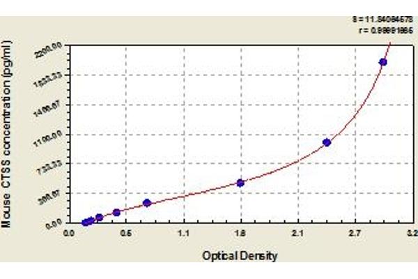 Cathepsin S ELISA Kit