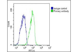 Overlay histogram showing HepG2 cells stained with (ABIN6242722 and ABIN6578815)(green line). (Glycogenin 1 Antikörper  (AA 314-347))